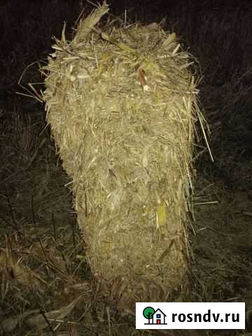 Сено в тюках Малгобек - изображение 1