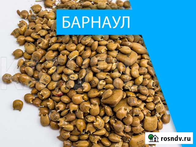 Скупка радиодеталей в Барнауле Барнаул - изображение 1