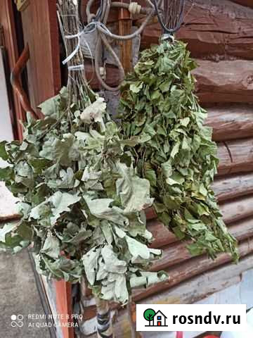 С легким паром Луга - изображение 1