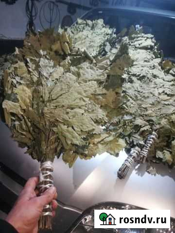 Веники дубовые Сочи - изображение 1