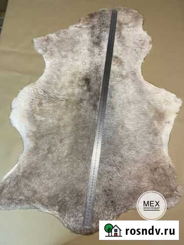 Ковер палас Крымск - изображение 1