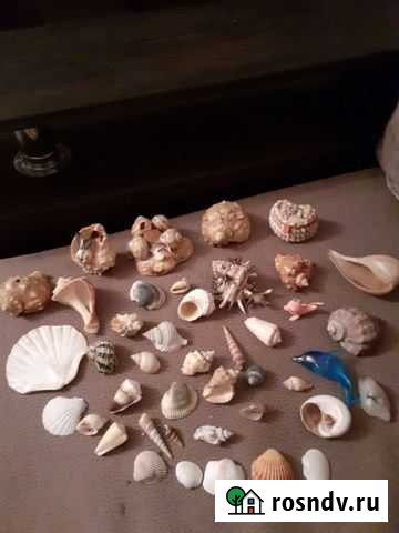 Ракушки и игрушки для аквариума Старый Оскол - изображение 1