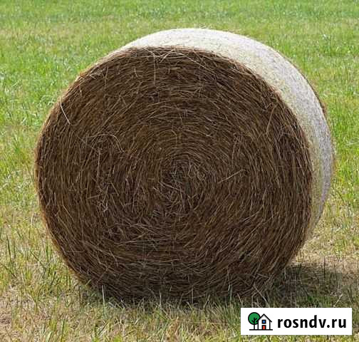 Сено Великий Новгород - изображение 1