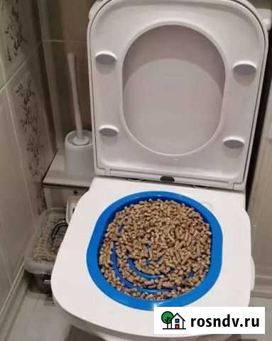 Поручение кота к унитазу Балаково - изображение 1