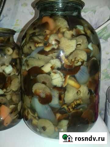 Грибы маринованные:вешенка,опята Кущевская - изображение 1