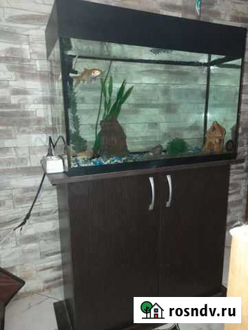 Аквариум Белореченск - изображение 1