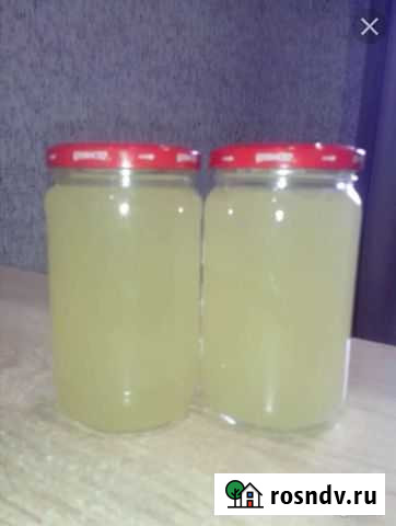 Сурчиный жир Михайловка - изображение 1