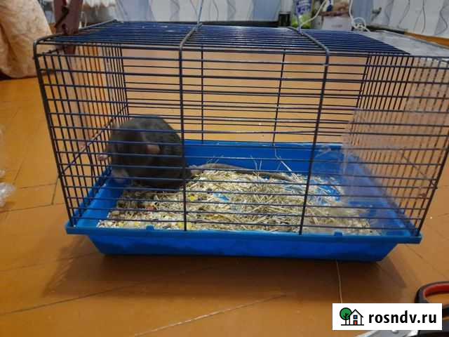 Клетка для грызунов Армавир - изображение 1