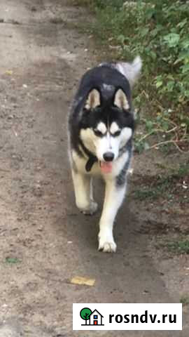 Вязка Волгоград - изображение 1