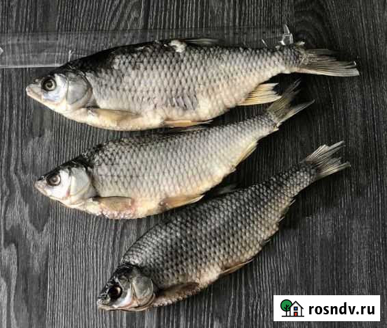 Вяленая Плотва Павлово - изображение 1