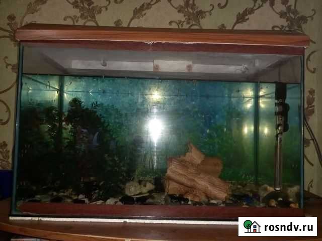 Аквариум Бутурлиновка - изображение 1