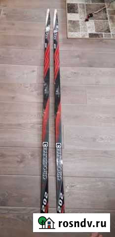 Лыжи беговые Кола - изображение 1