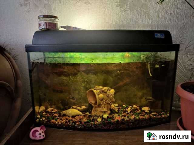 Аквариум Зарайск - изображение 1