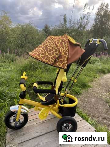 Велосипед с ручкой Mini Trike ZOO Жираф Мурманск - изображение 1