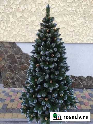 Елка Новогодняя Евпатория - изображение 1