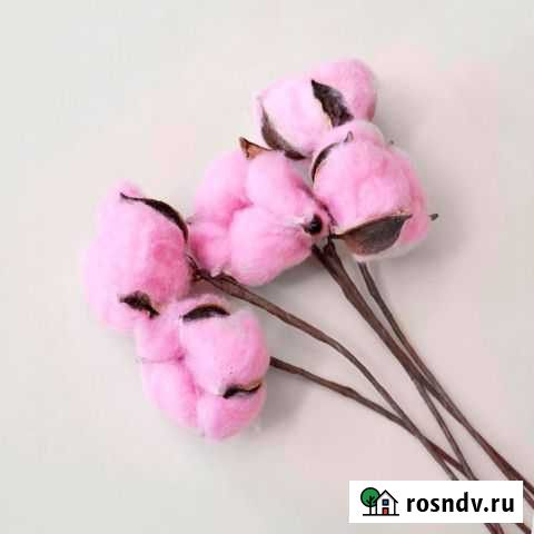 Хлопок декоративный Волгоград - изображение 1