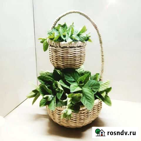 Кашпо двухъярусное Барнаул - изображение 1