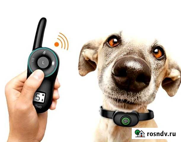 Электронный ошейник, антилай, GPS для собак Майкоп - изображение 1
