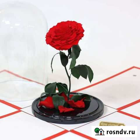 Роза в колбе на изогнутом стебле, оптом и в розниц Краснодар - изображение 1