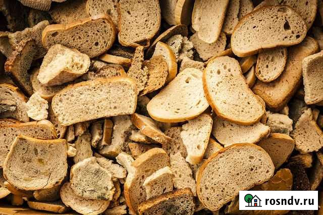 Вывоз пищевых отходов Туймазы - изображение 1