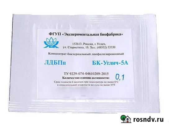 Закваска для сыра бк-Углич-5А Анапа - изображение 1