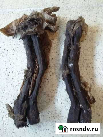 Верхние рычаги газ 21 Дигора - изображение 1