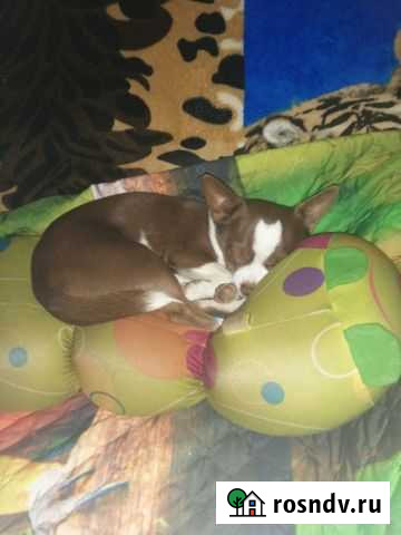 Вязка Родники - изображение 1