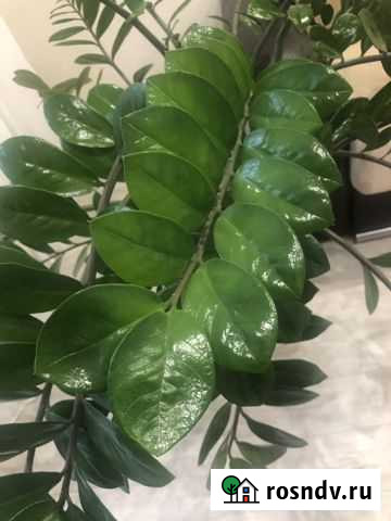 Все для дома и дачи Хабаровск - изображение 1