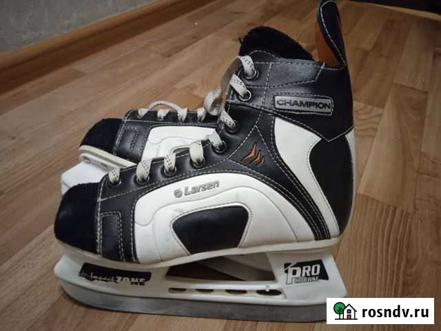 Коньки Октябрьский - изображение 1