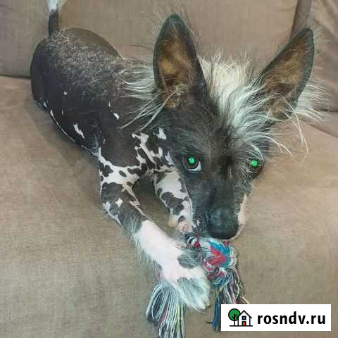 Вязка кхс Барнаул - изображение 1