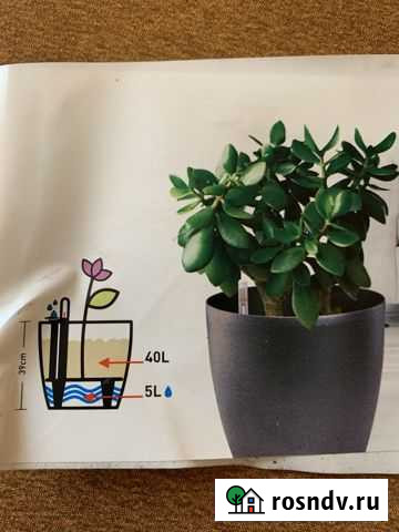 Напольный горшок с системой полива Go Green Ростов-на-Дону - изображение 1