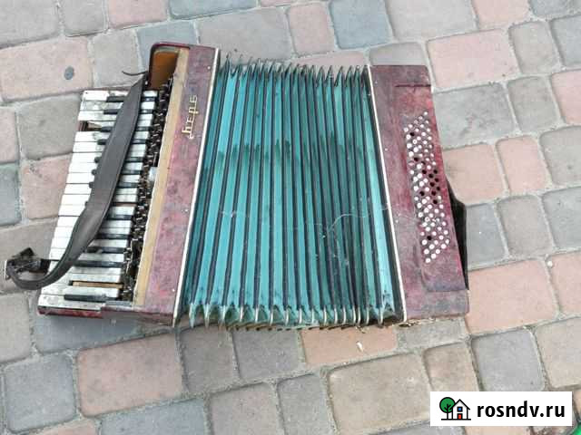 Баян Тамбов - изображение 1