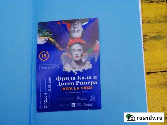 Билет на выставку Фрида Москва - изображение 1