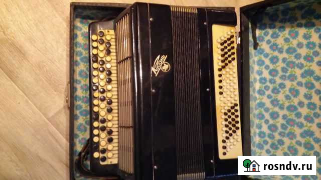 Баян Кубань Альметьевск - изображение 1