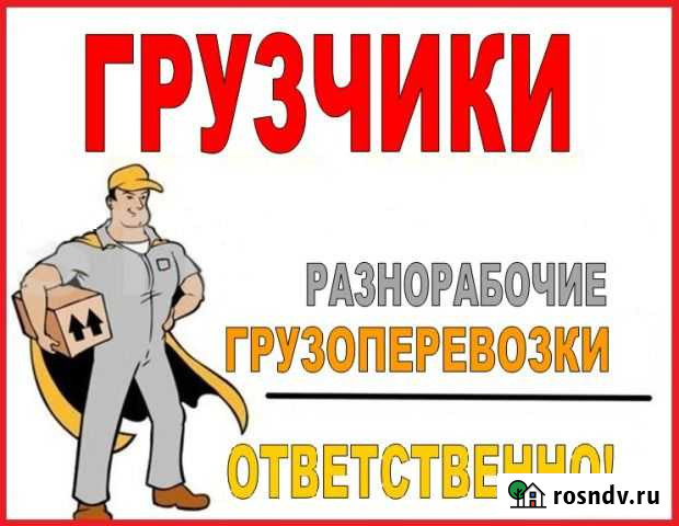 Грузчики, разнорабочие, вывоз мусора, копка Вологда - изображение 1