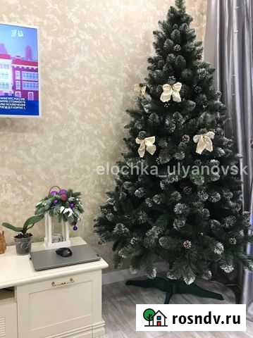 Елка кармен Ульяновск - изображение 1