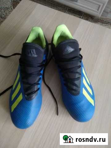 Сороконожки Пермь - изображение 1