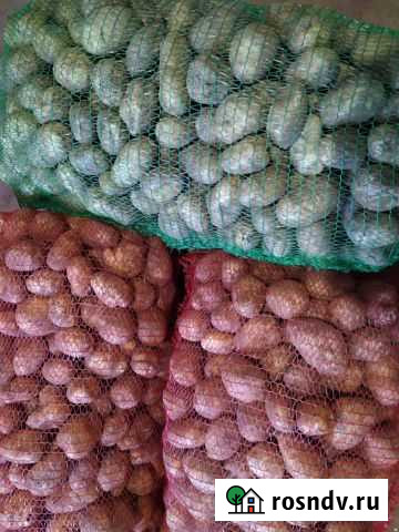 Картофель вкусный с доставкой Унеча - изображение 1