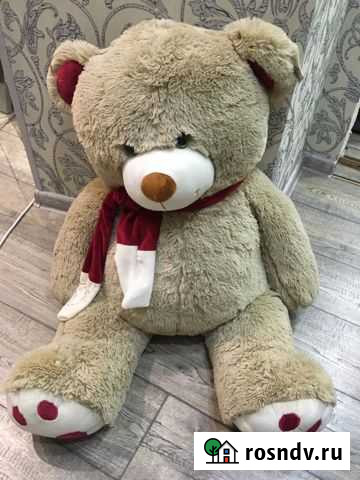 Плюшевый медведь Ростов-на-Дону - изображение 1
