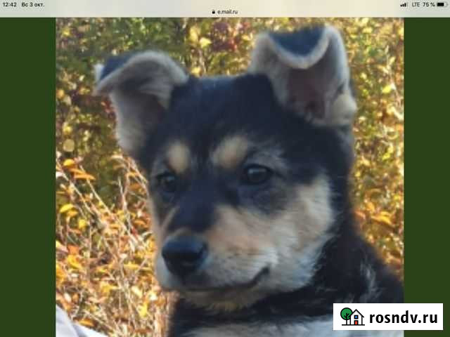 Pretty girl Лекса Шлиссельбург - изображение 1