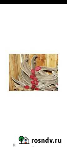 Пантокрин Черногорск - изображение 1