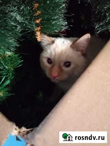 Вязка Киров - изображение 1