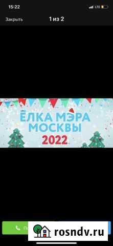 Билет на елку Мэра Москва - изображение 1