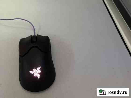 Razer viper mini Череповец