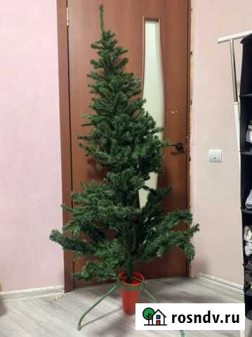 Елка искусственная 180 Петрозаводск - изображение 1