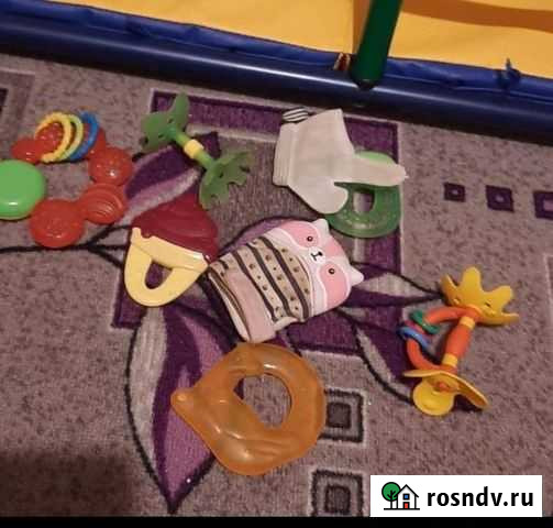 Грызунок Майкоп - изображение 1