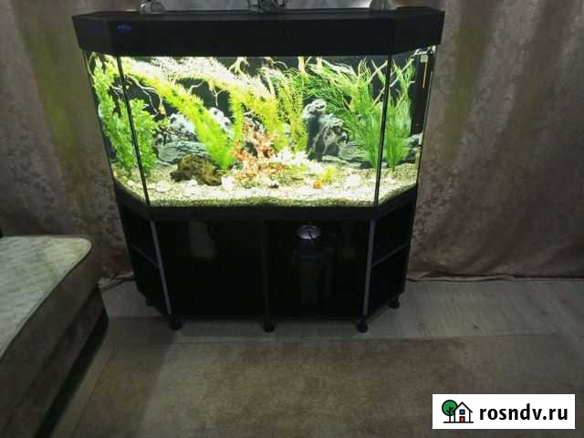 Украшение для аквариума Чистополь - изображение 1