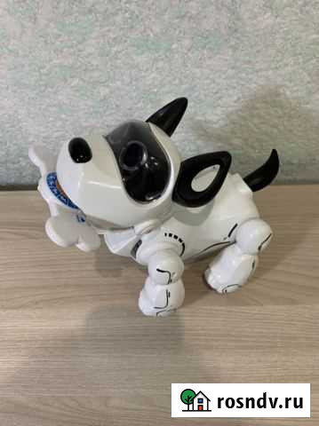 Интерактивная собака Бузулук - изображение 1