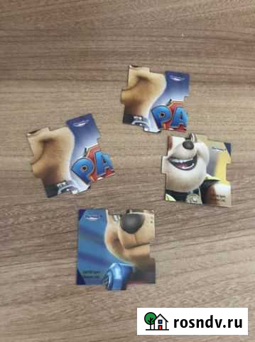 Пазлы из растишки Ижевск - изображение 1