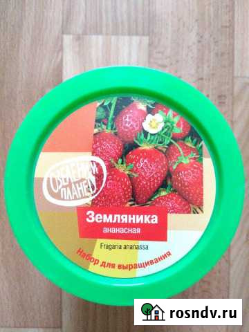 Набор для выращивания земляника ананасная Волгоград - изображение 1